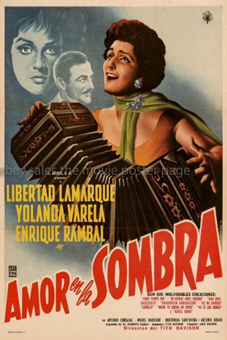 Poster of Amor en la sombra