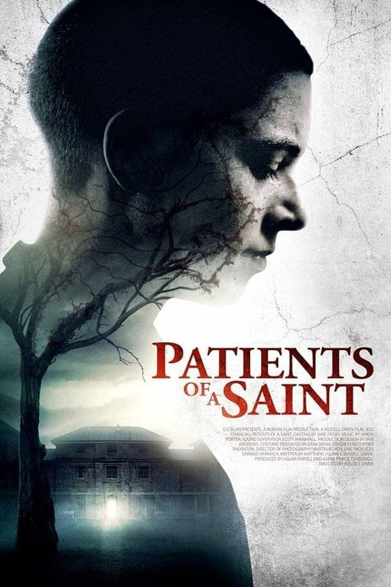 Poster of Patients of a Saint