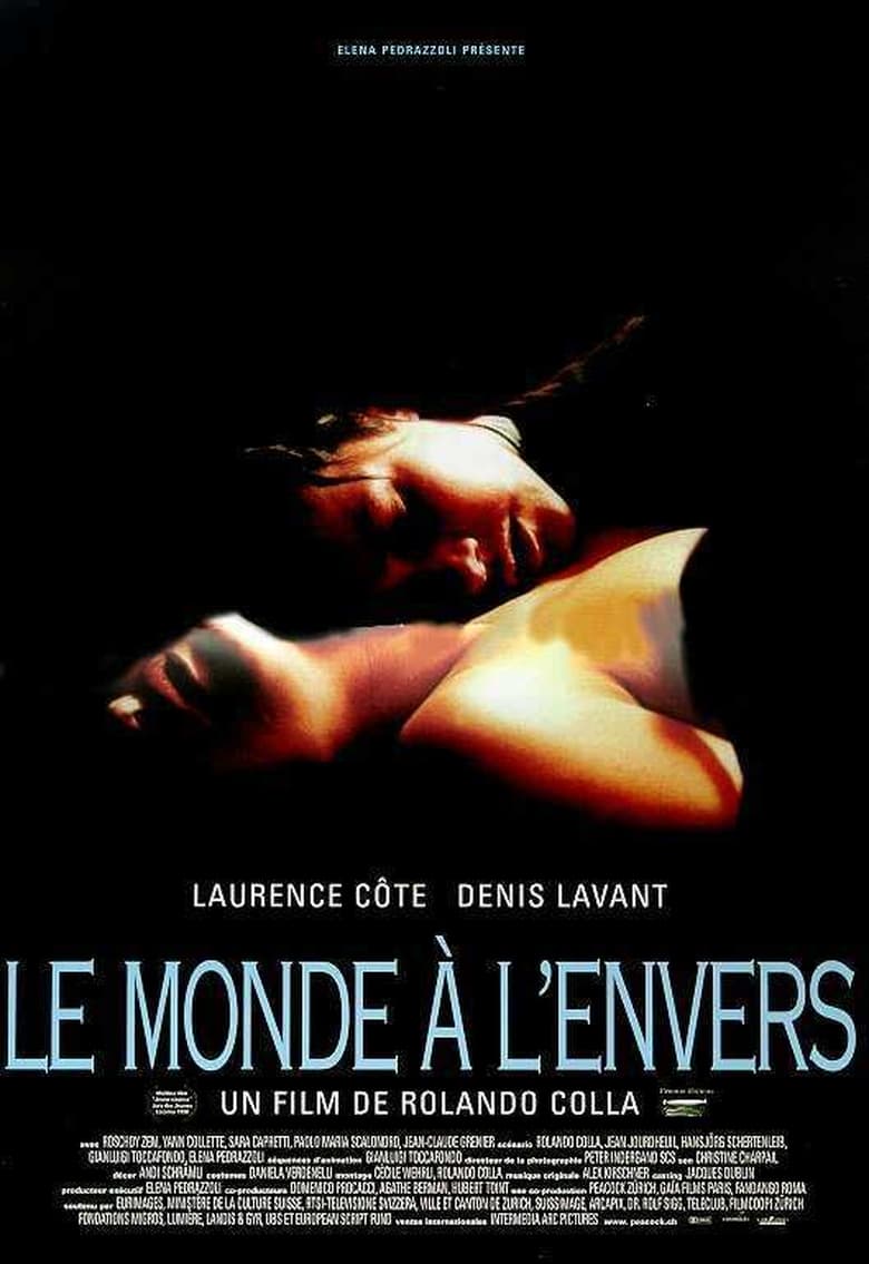 Poster of Le monde à l'envers