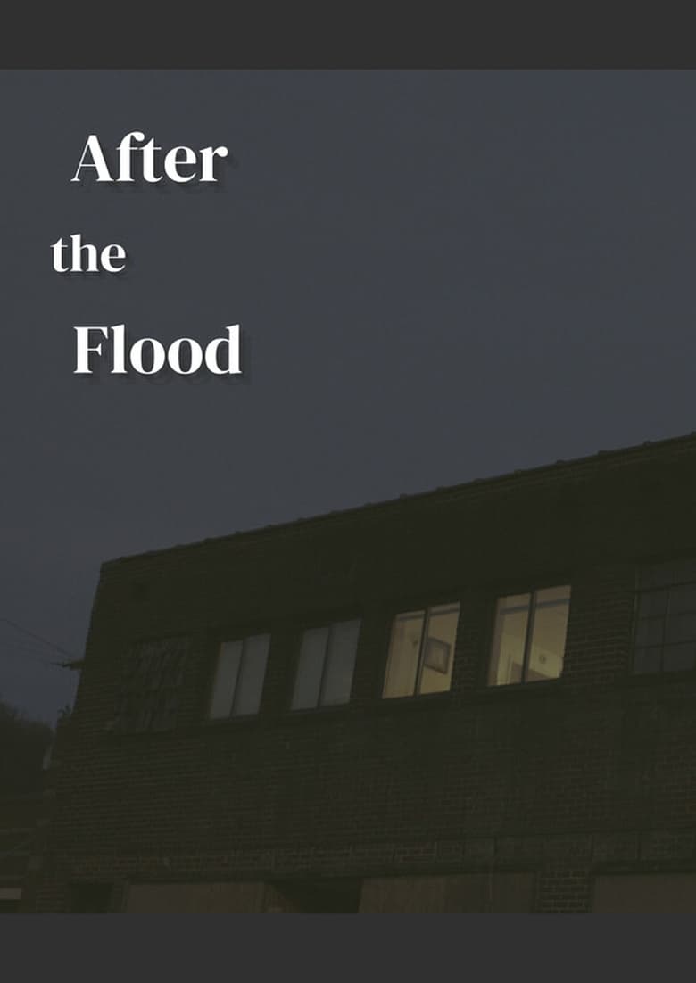 Poster of After the Flood