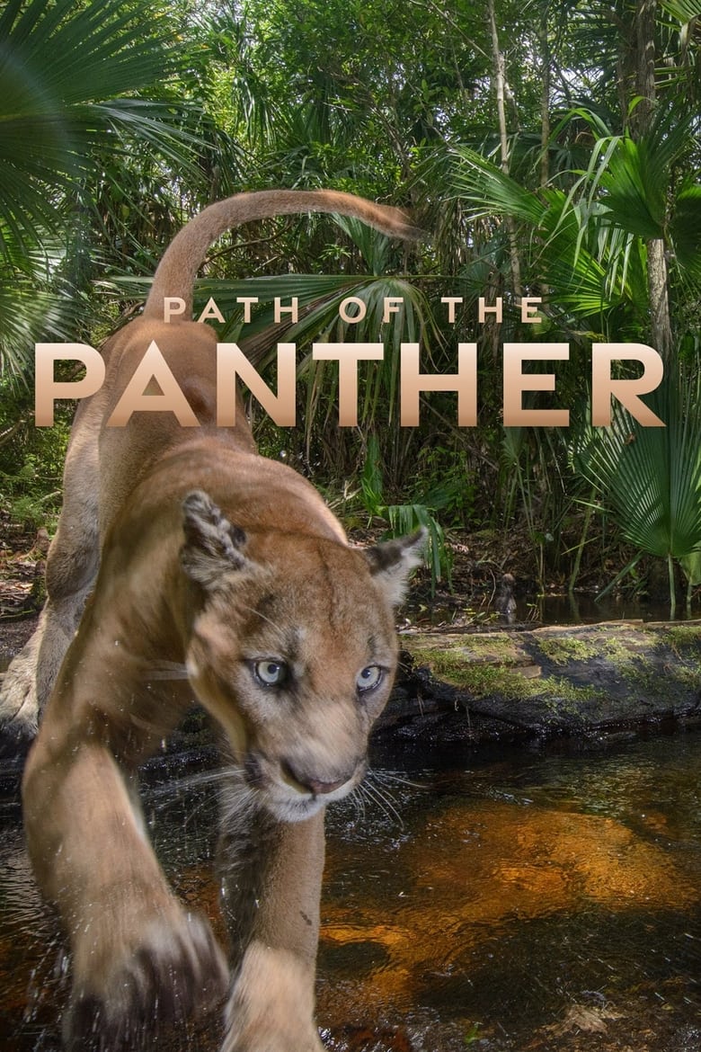 Poster of Path of the Panther