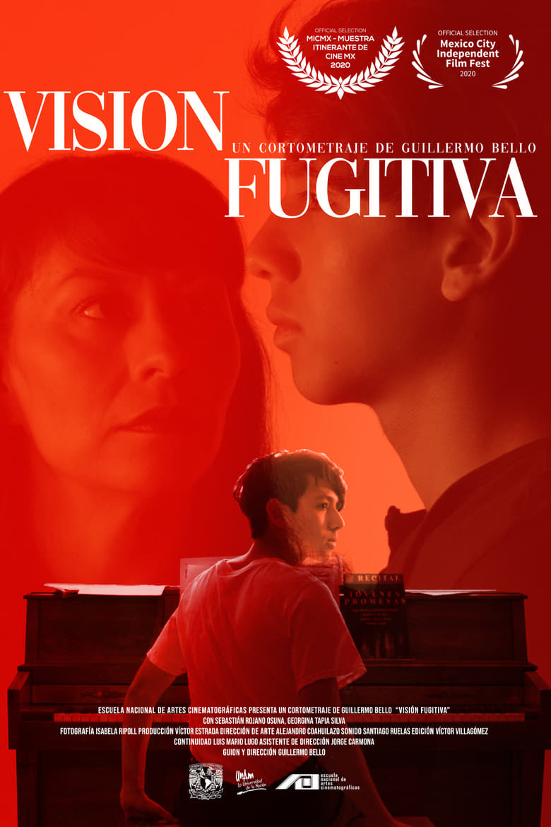 Poster of Fugitive Vision