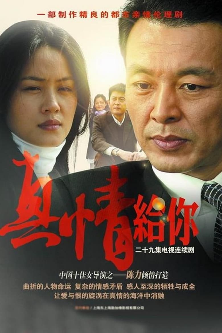 Poster of 真情给你