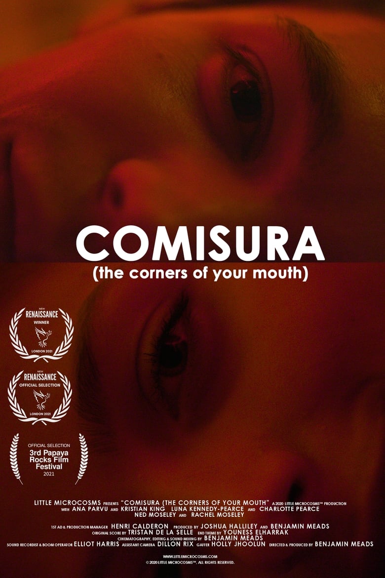 Poster of Comisura (The Corners of Your Mouth)