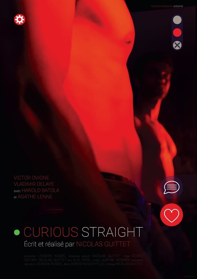 Poster of Curious Straight