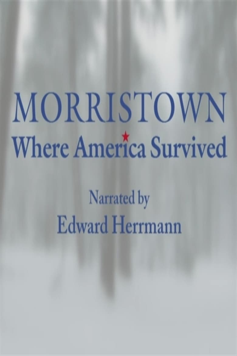 Poster of Morristown: Where America Survived