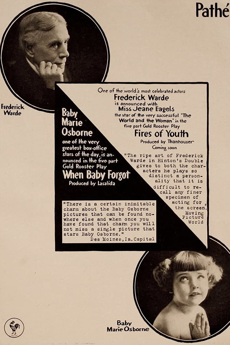 Poster of The Fires of Youth