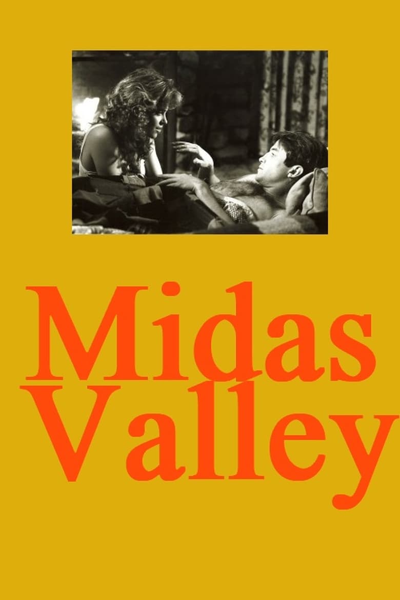 Poster of Midas Valley