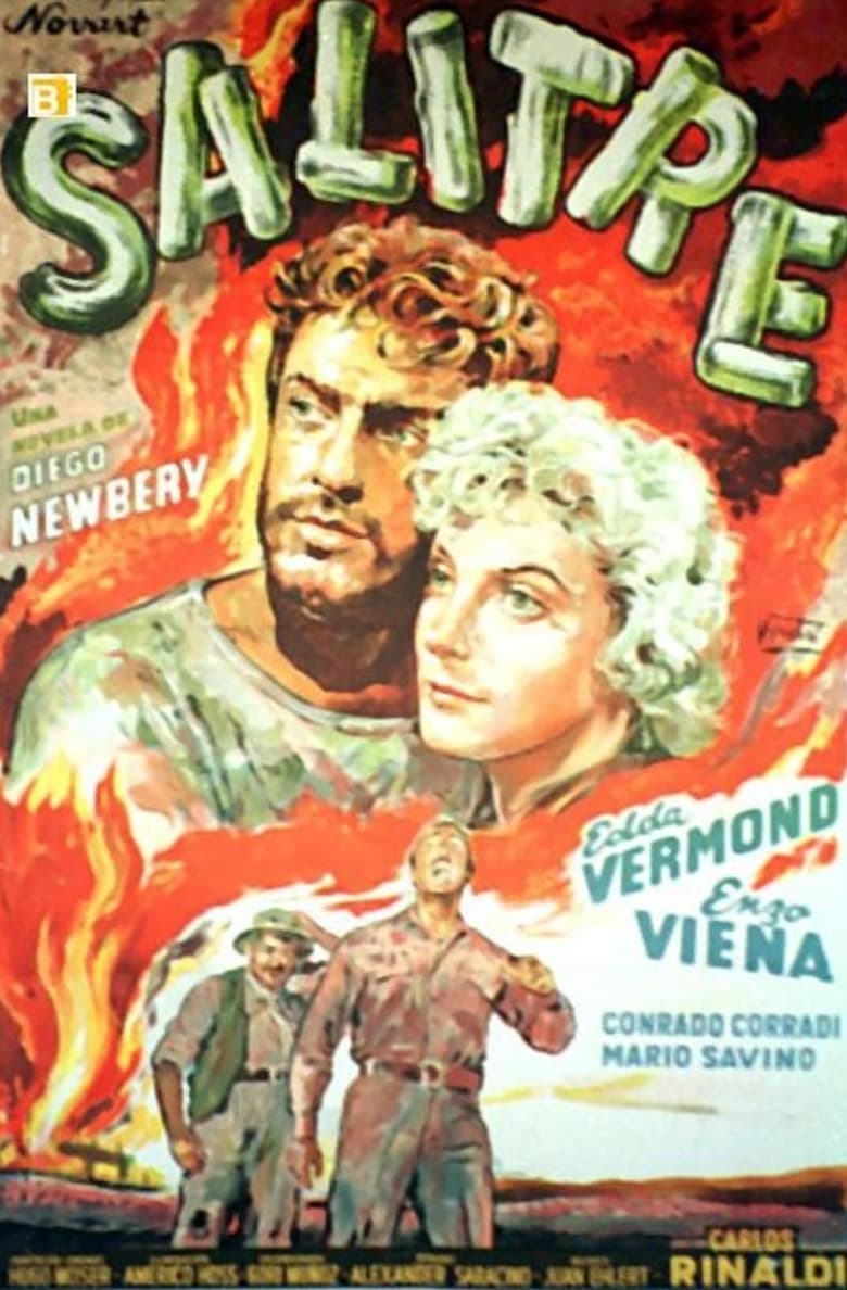 Poster of Salitre