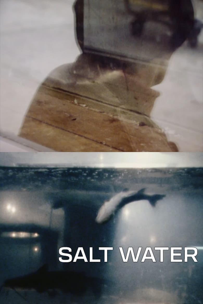 Poster of Salt Water