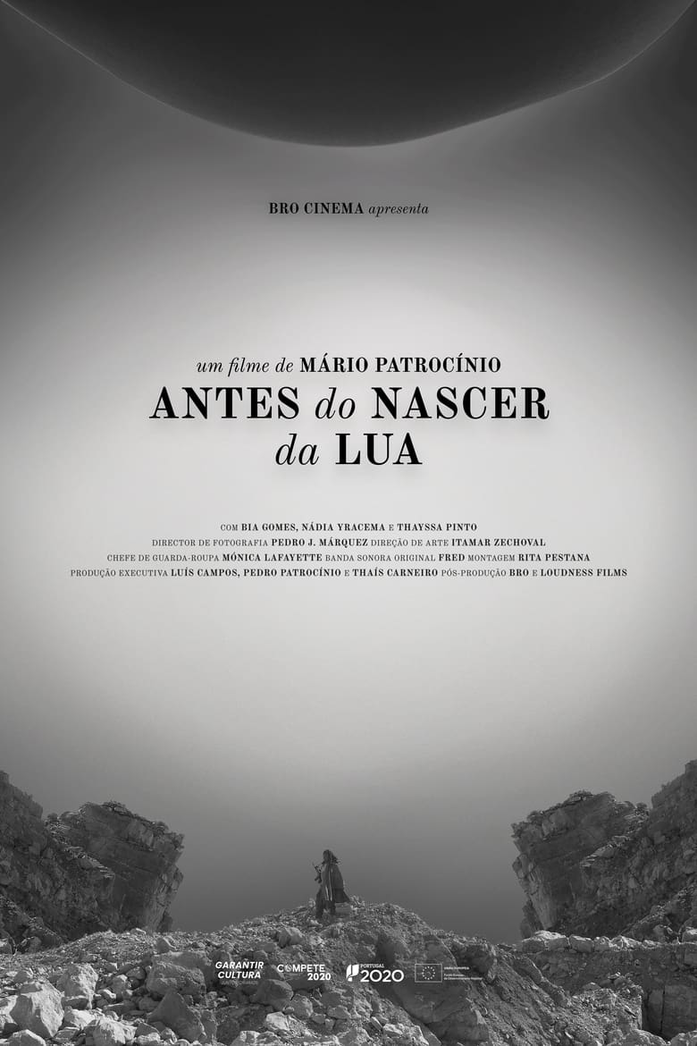 Poster of Antes do Nascer da Lua