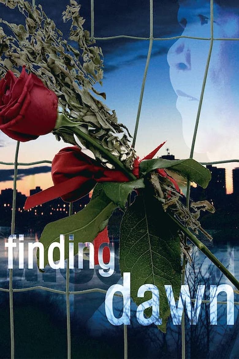 Poster of Finding Dawn