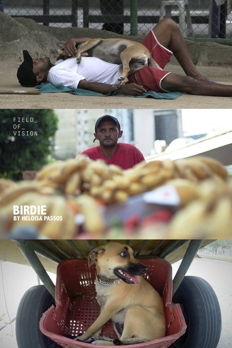 Poster of Birdie