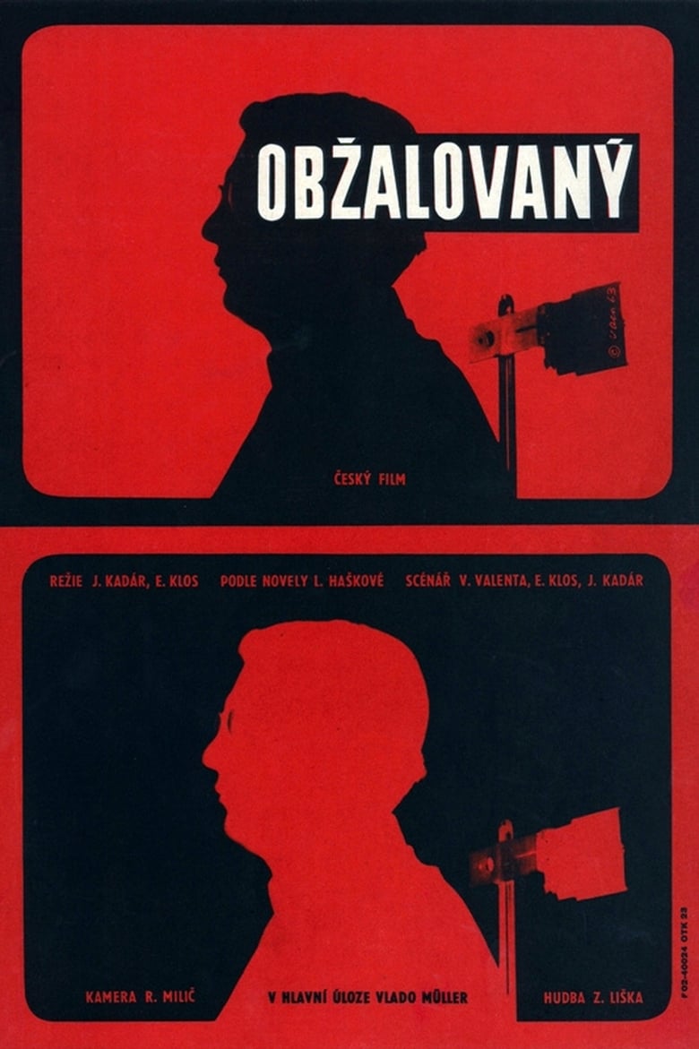 Poster of Defendant