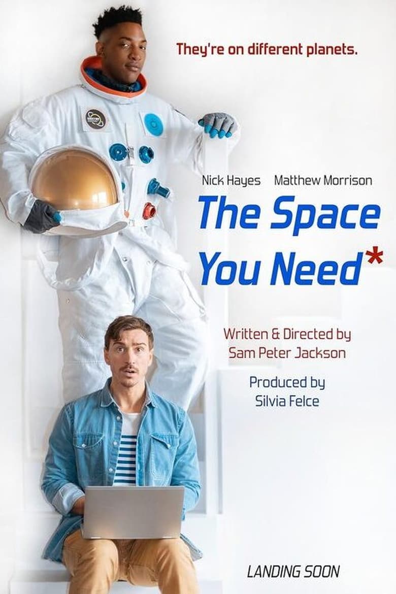 Poster of The Space You Need