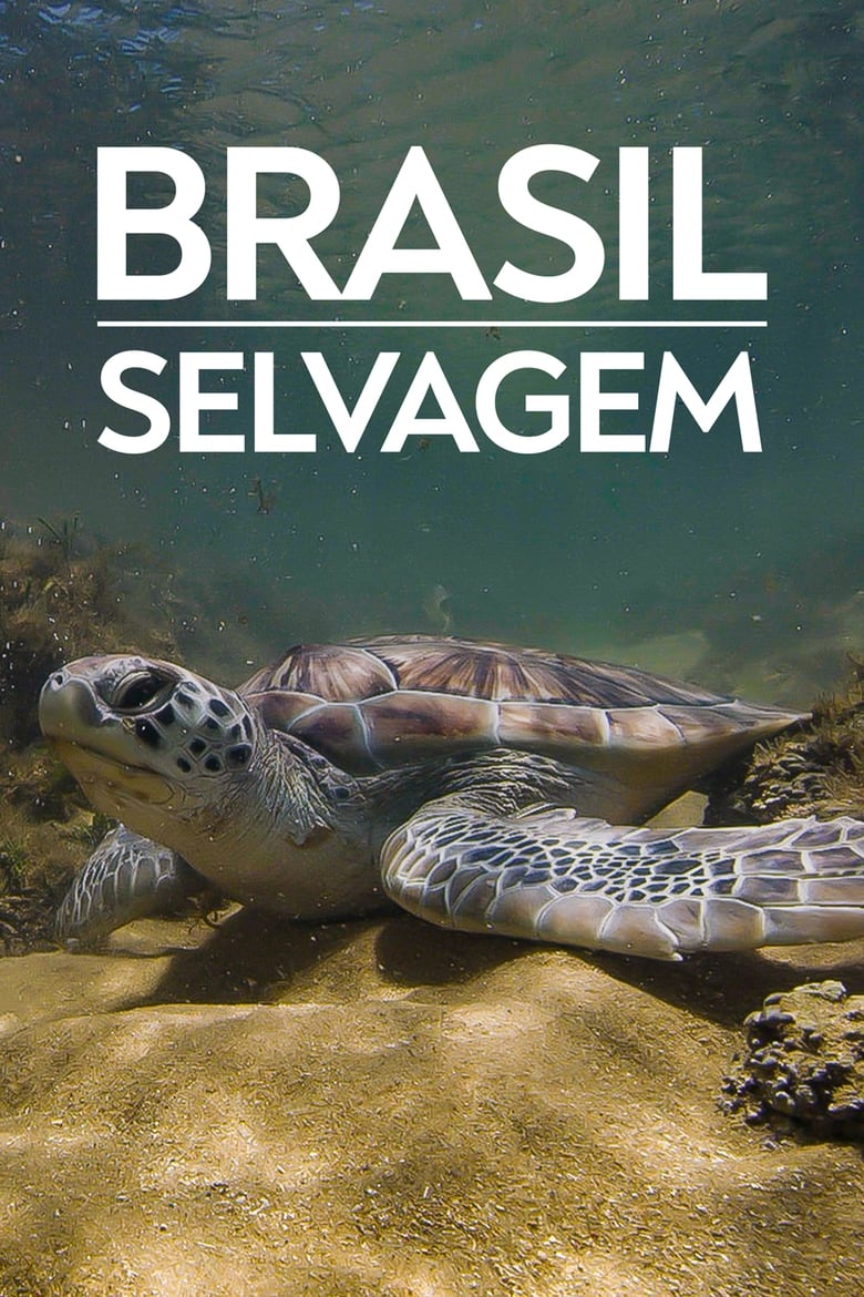 Poster of Episodes in Brazil Untamed - Coastline of Brazil - Coastline of Brazil