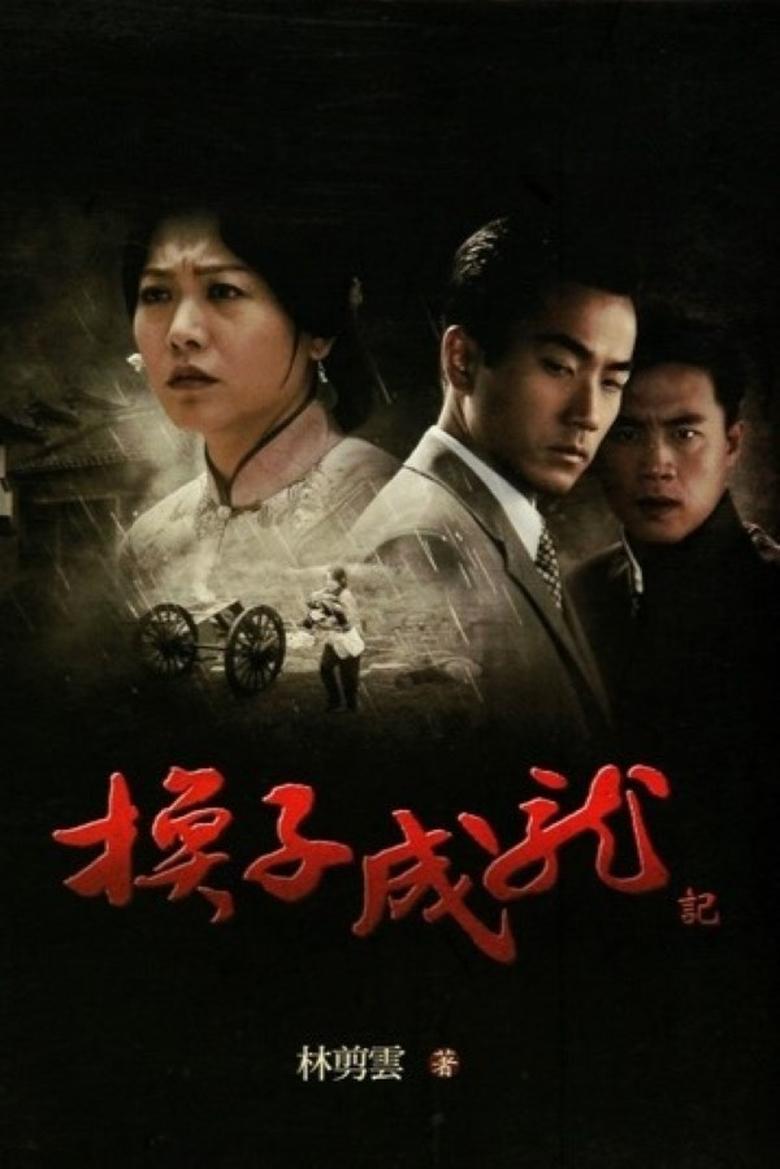 Poster of 换子成龙