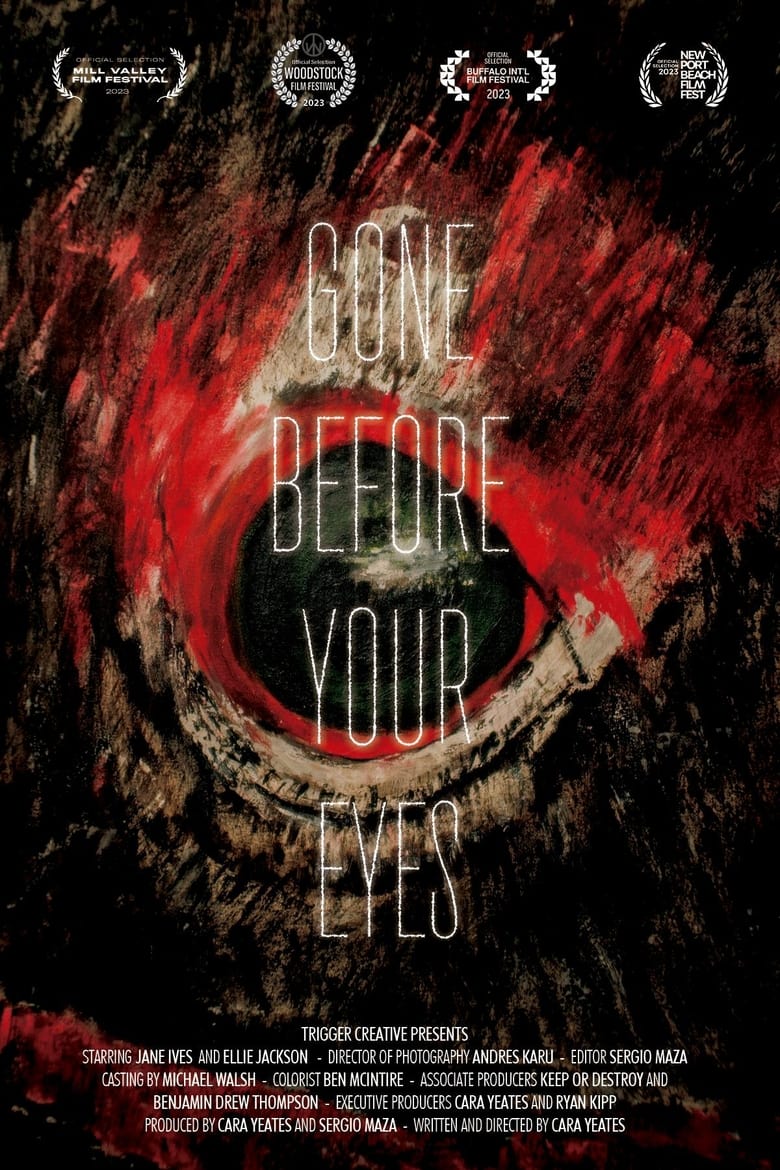 Poster of Gone Before Your Eyes