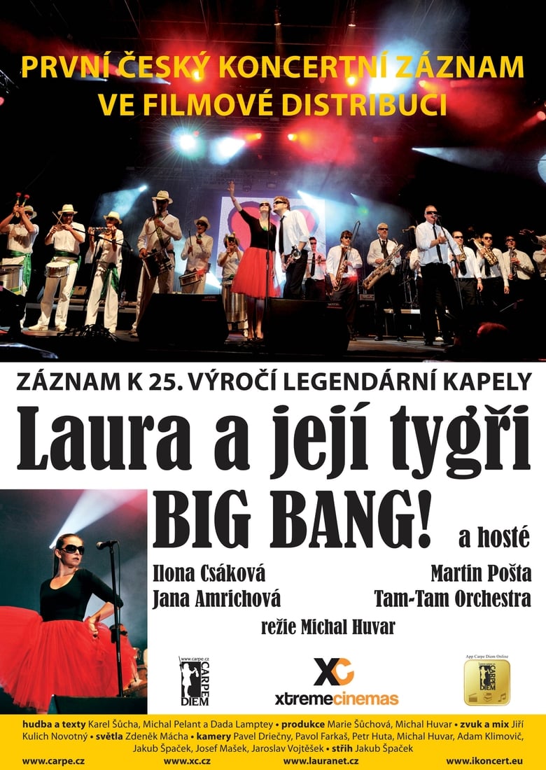 Poster of Laura a její tygři – Big Bang!