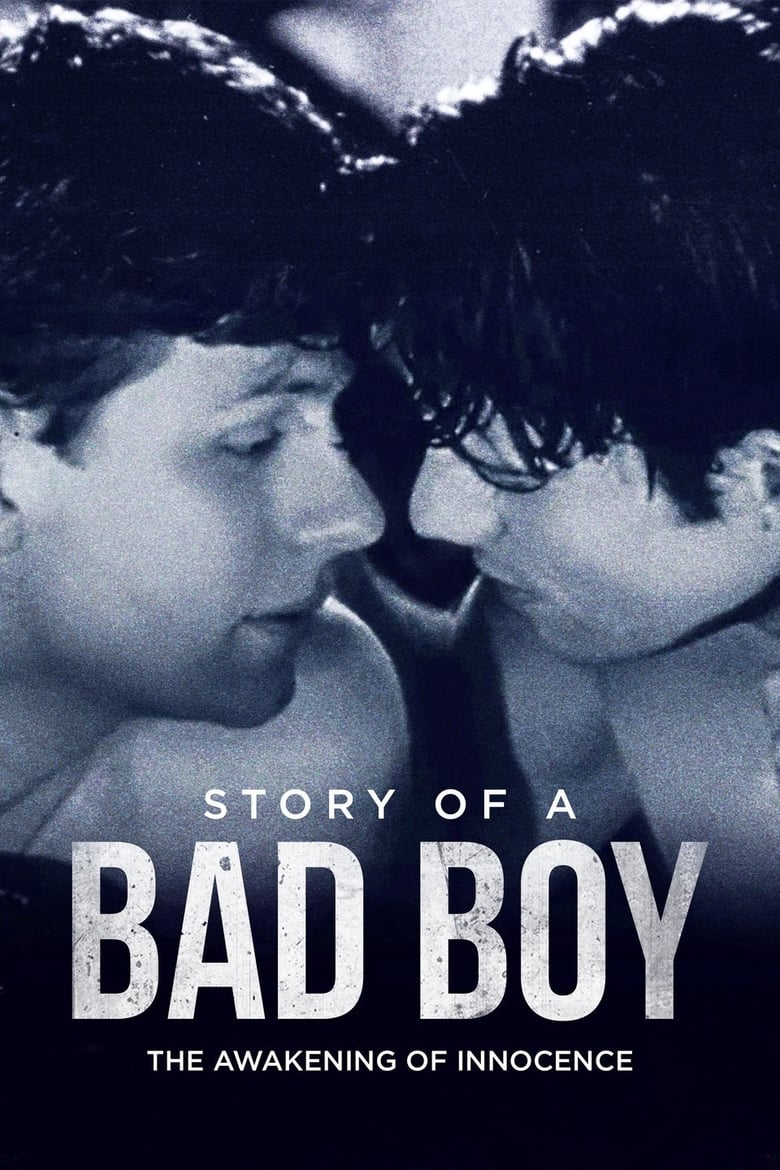 Poster of Story of a Bad Boy