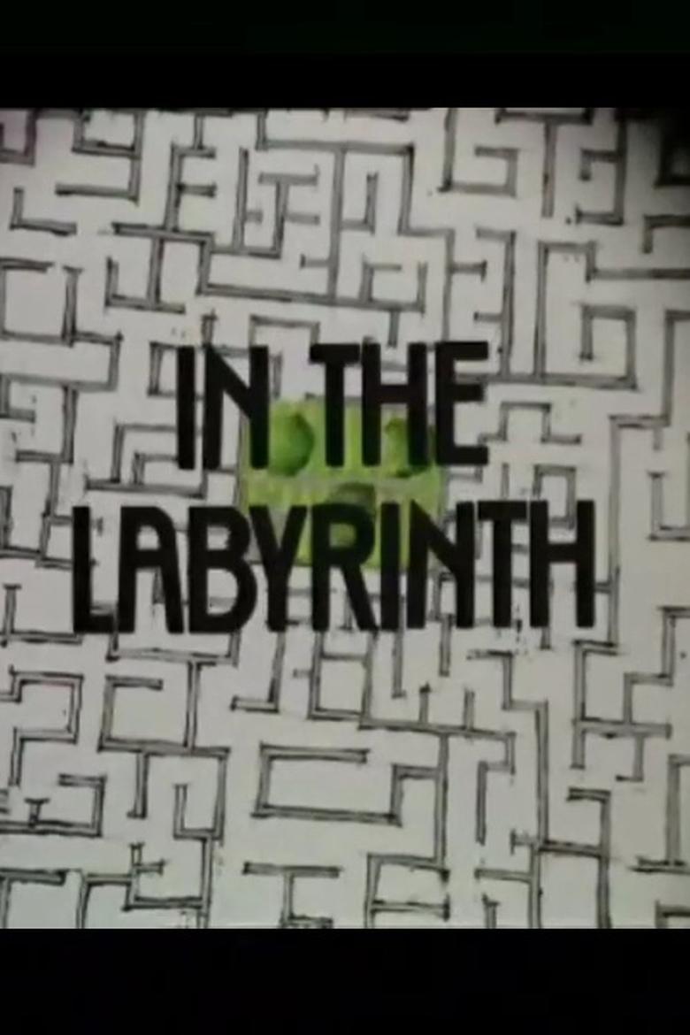 Poster of In the Labyrinth