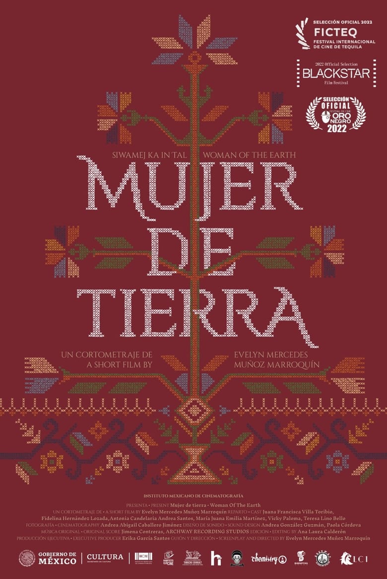 Poster of Mujer de Tierra