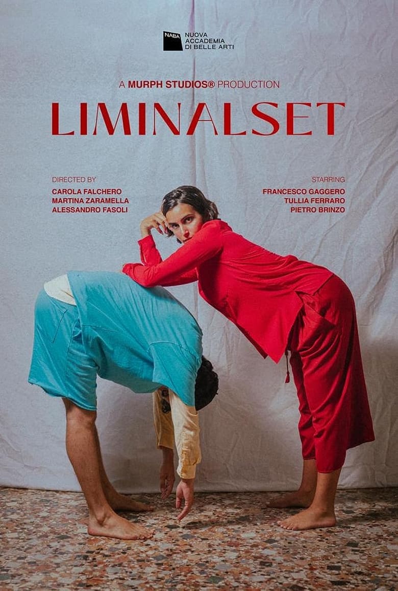 Poster of Liminalset