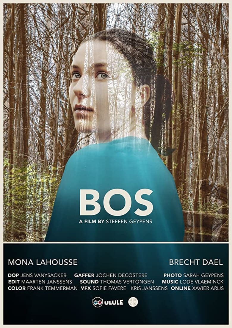 Poster of Bos