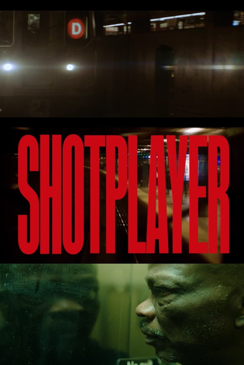 Poster of Shotplayer