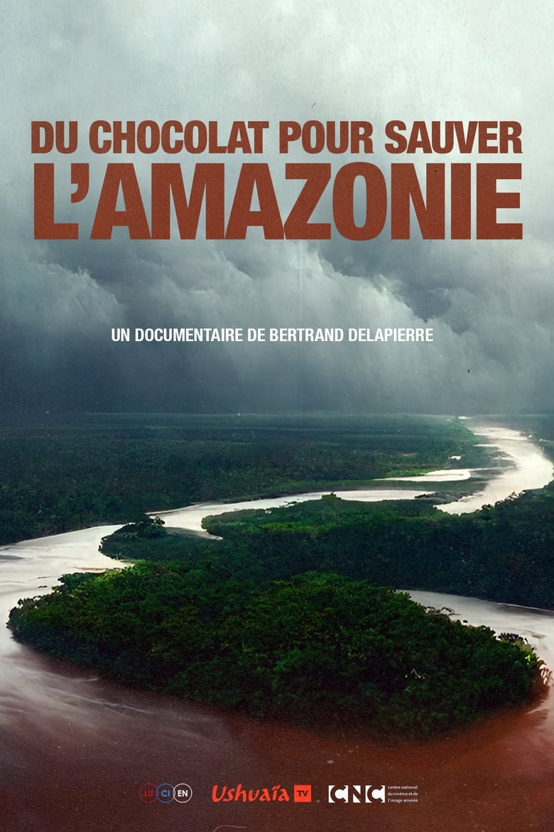 Poster of Du Chocolat Pour Sauver l'Amazonie