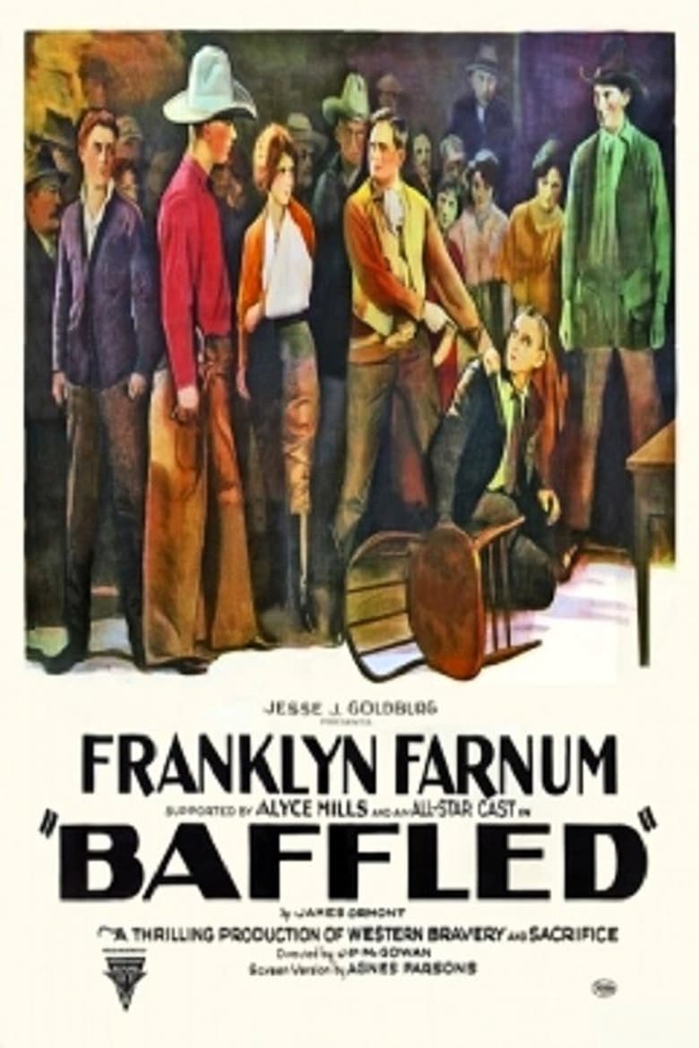 Poster of Baffled