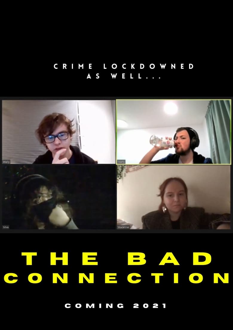 Poster of The Bad Connection