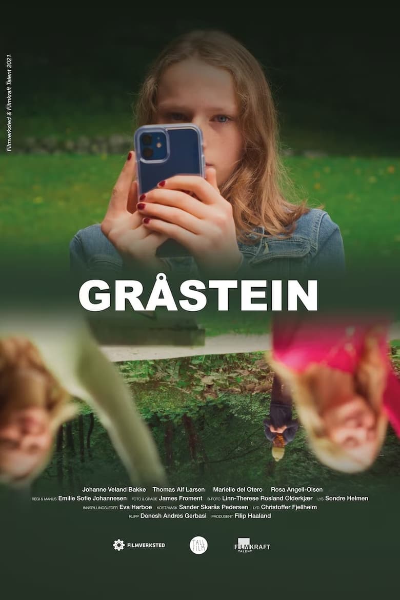 Poster of Gråstein