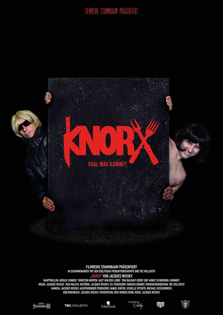 Poster of Knorx