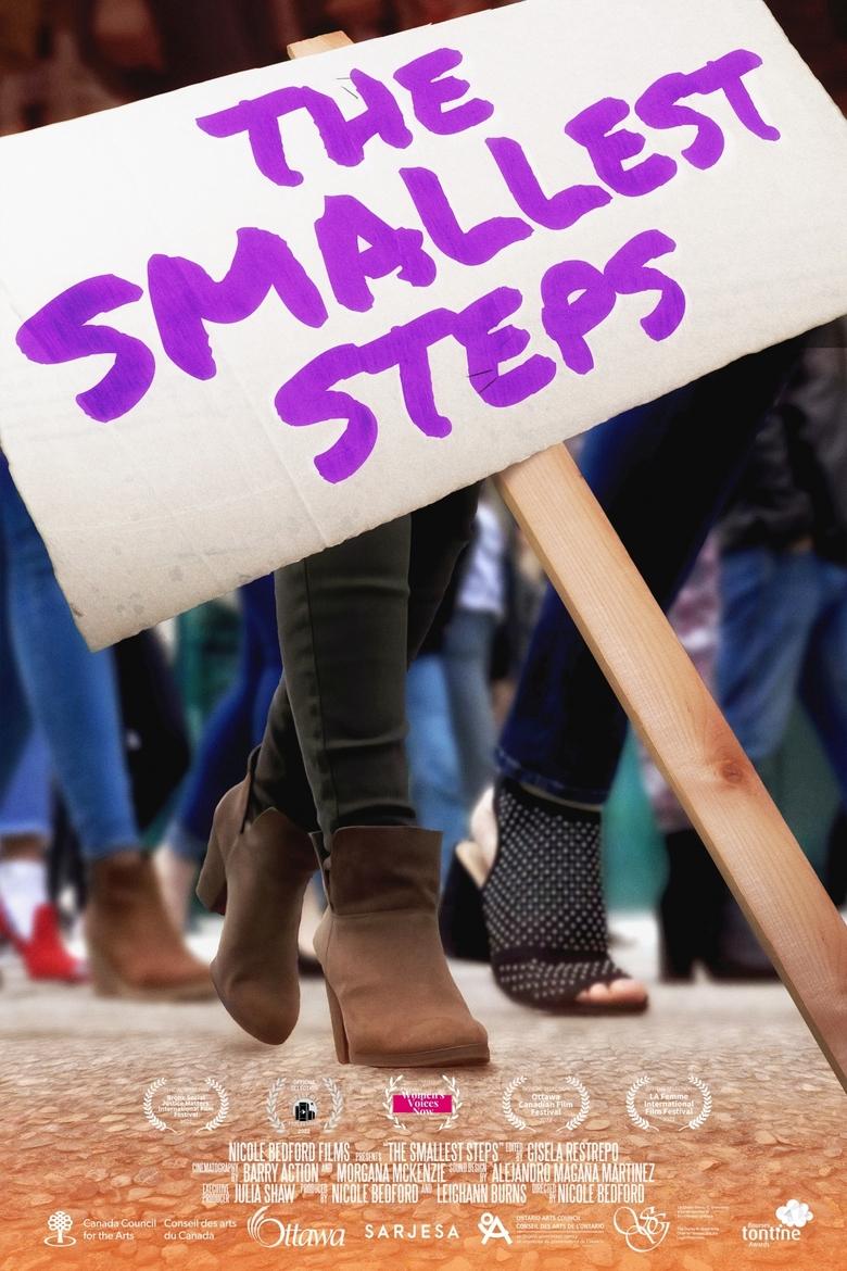 Poster of The smallest steps