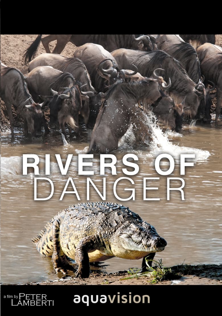 Poster of Rivers of Danger