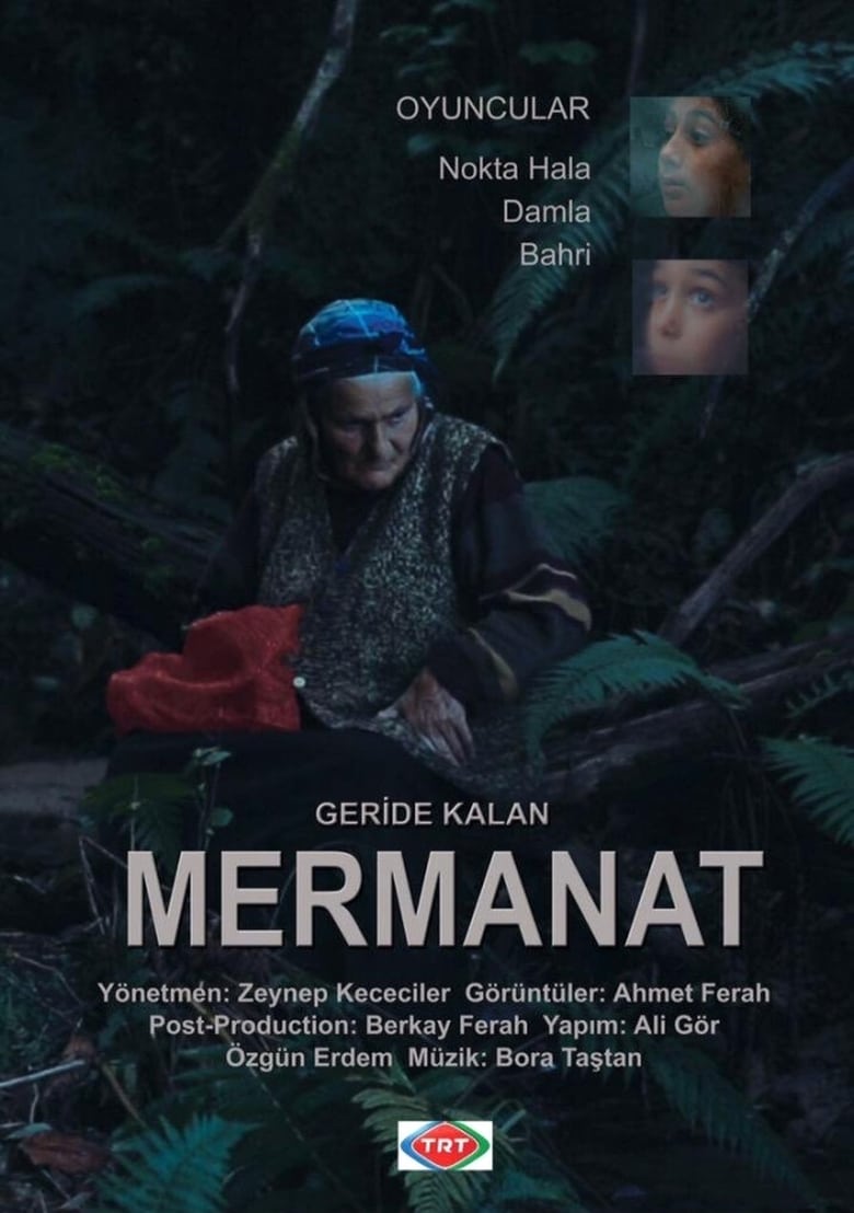 Poster of Geriye Kalan... Mermanat