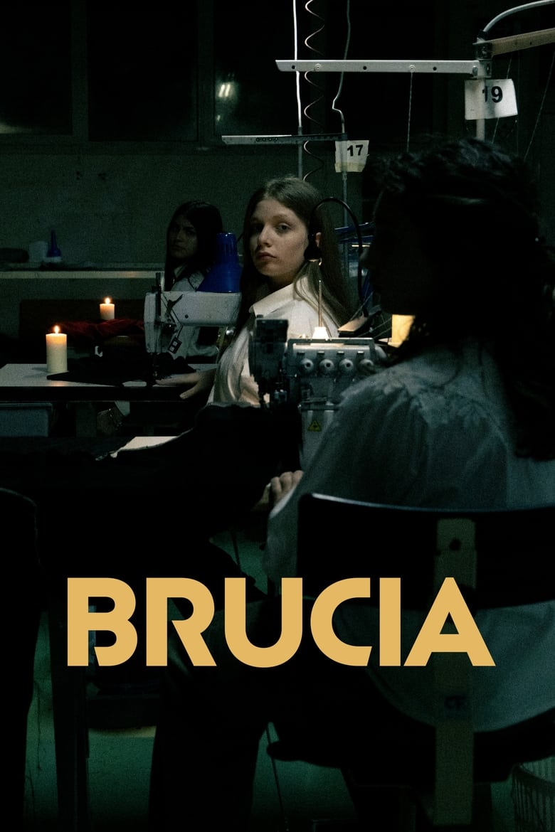 Poster of Brucia