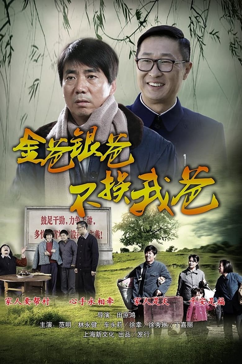 Poster of Episodes in 平凡的岁月 - Season 1 - Season 1