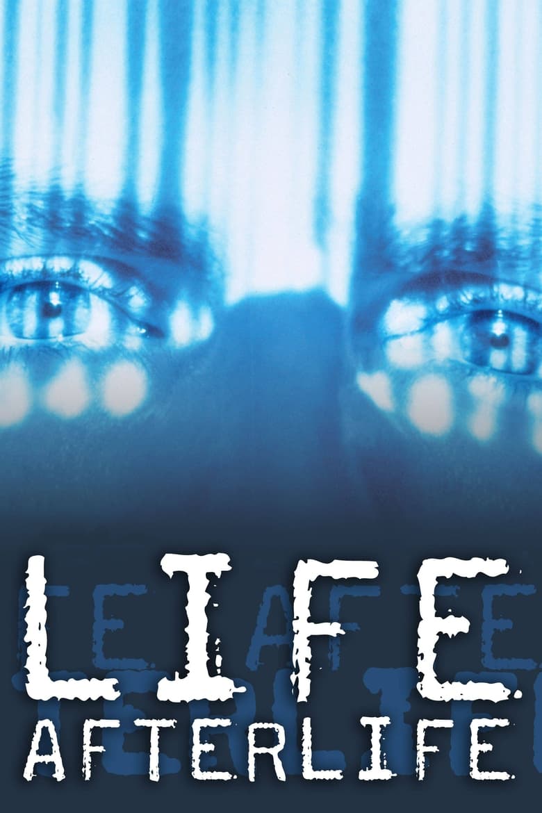 Poster of America Undercover: Life Afterlife