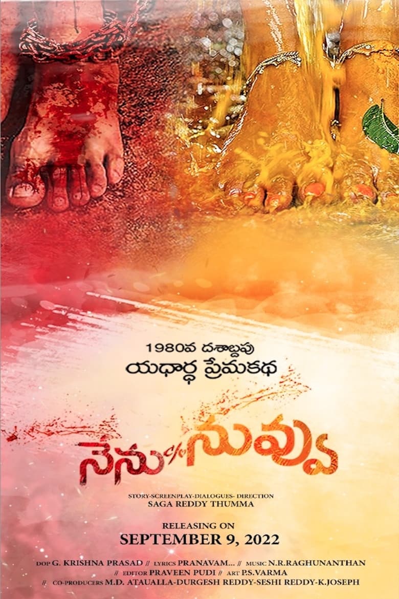 Poster of Nenu C/o Nuvvu