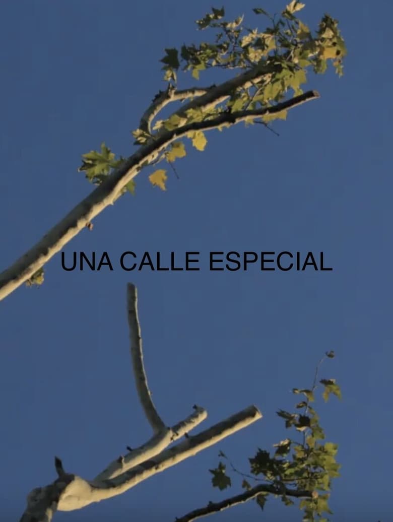 Poster of Una Calle Especial