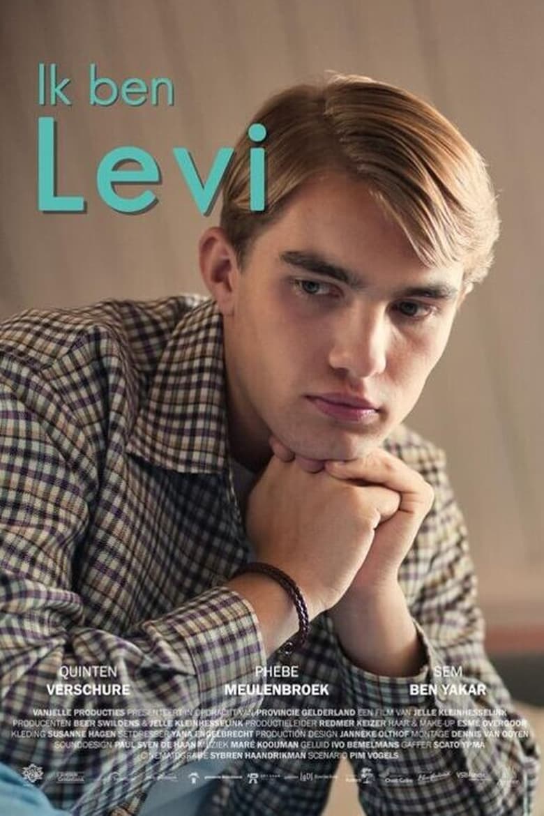 Poster of I'm Levi