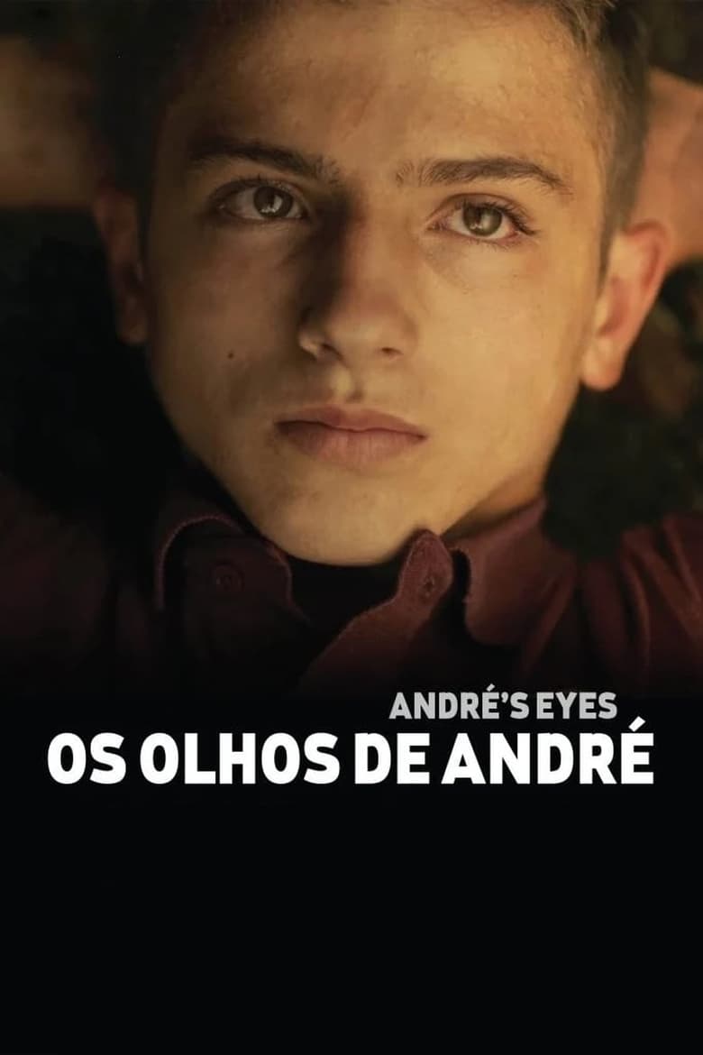 Poster of André's Eyes