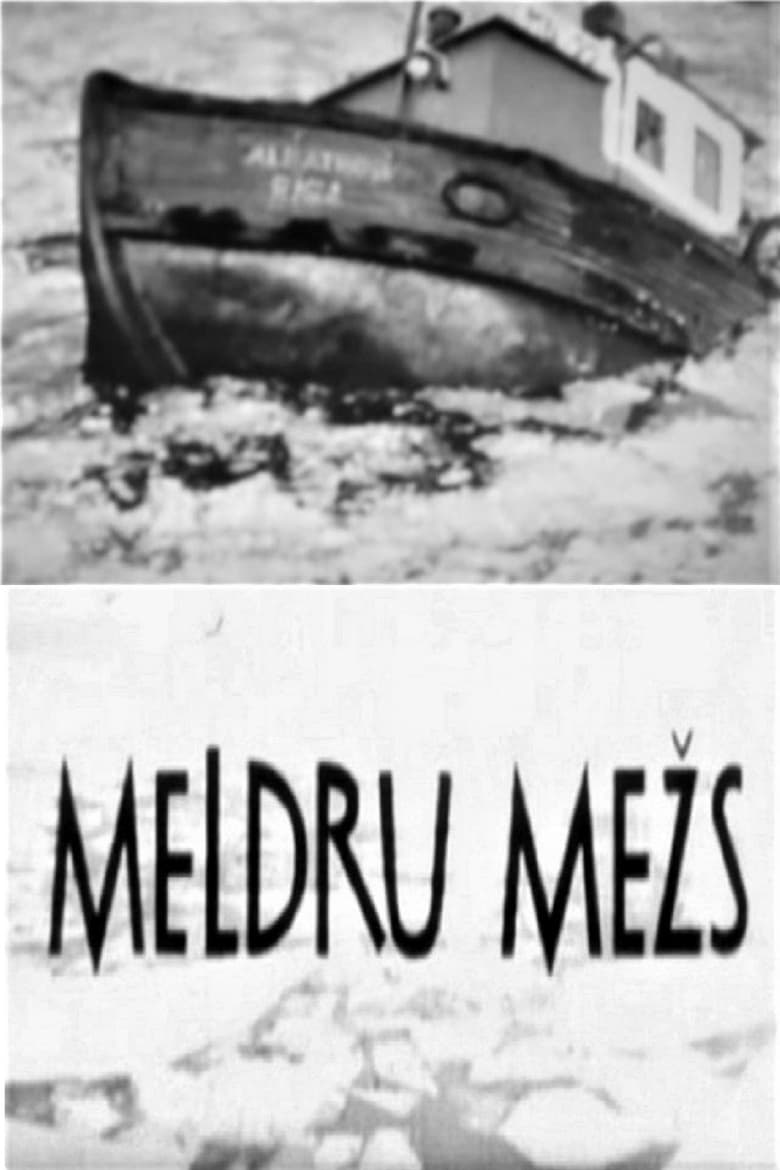 Poster of Meldru mežs