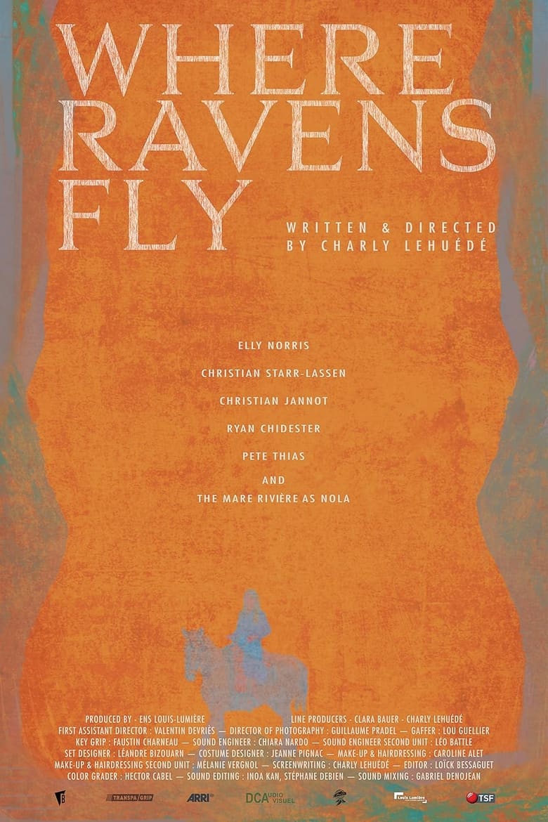 Poster of Where Crows Fly