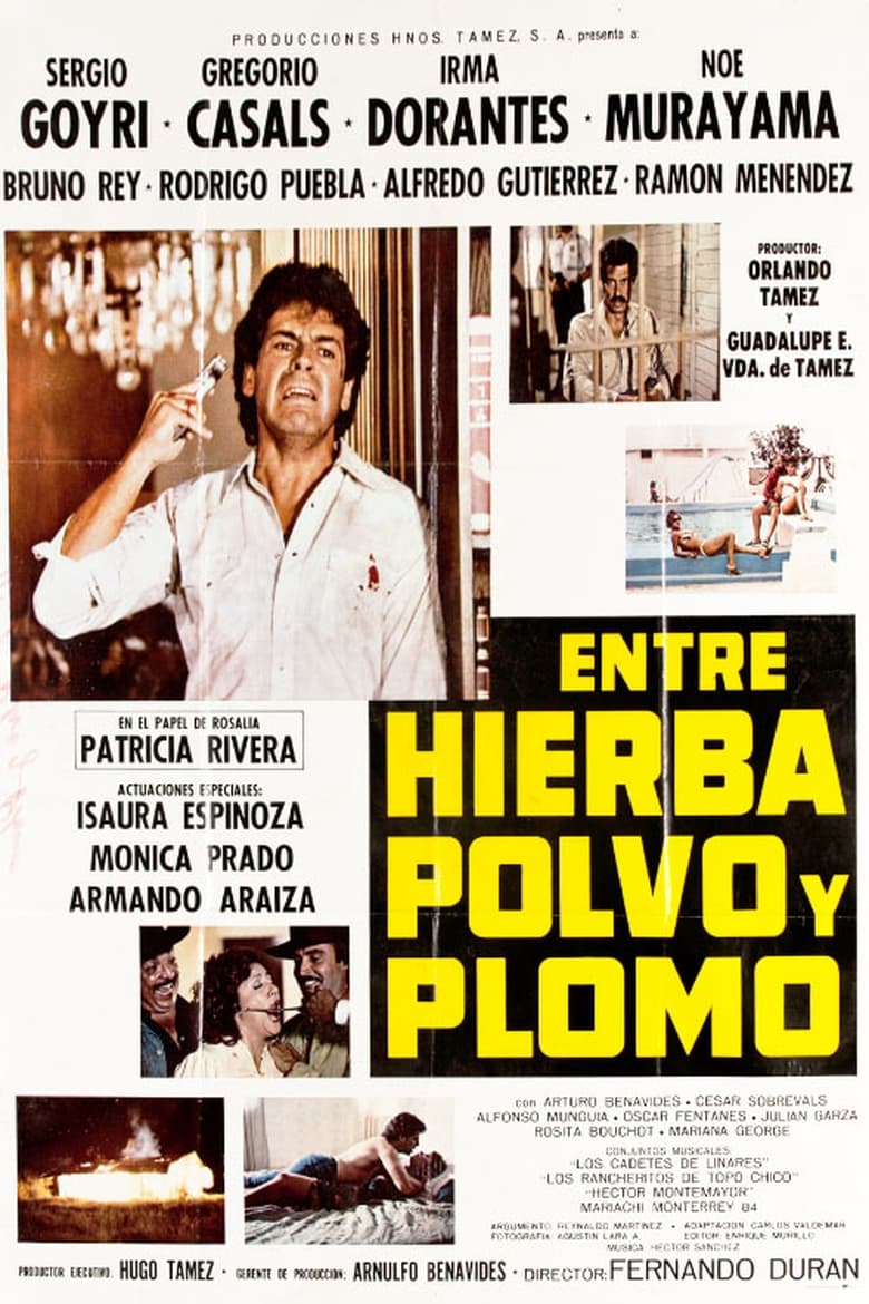 Poster of Entre Hierba, Polvo y Plomo