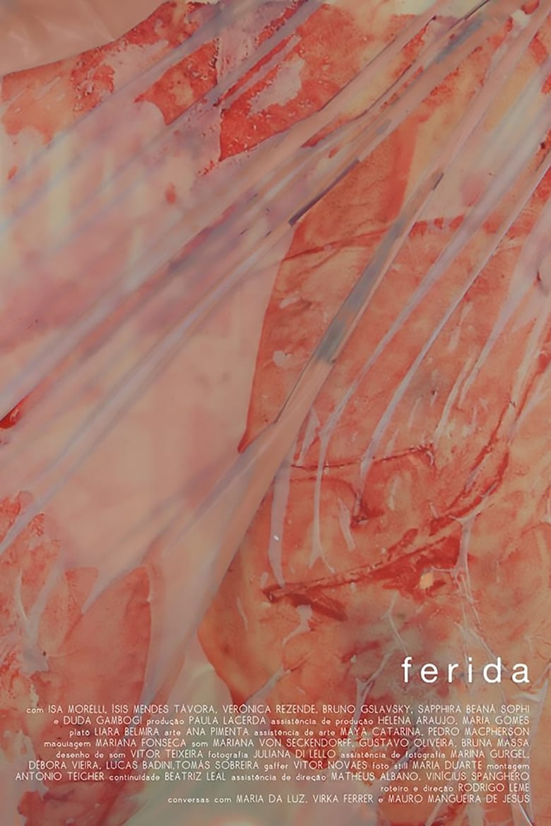 Poster of Ferida