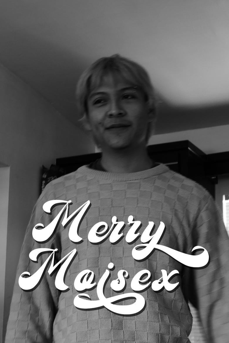 Poster of Merry Moisex