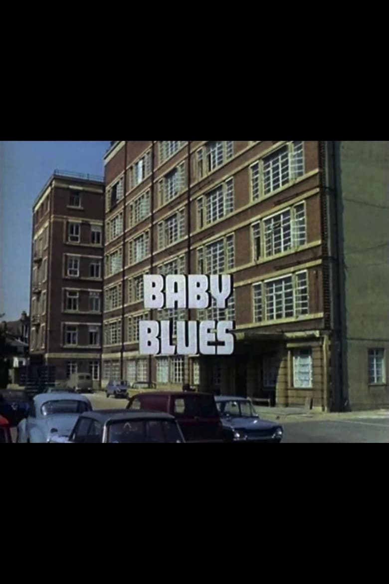 Poster of Baby Blues